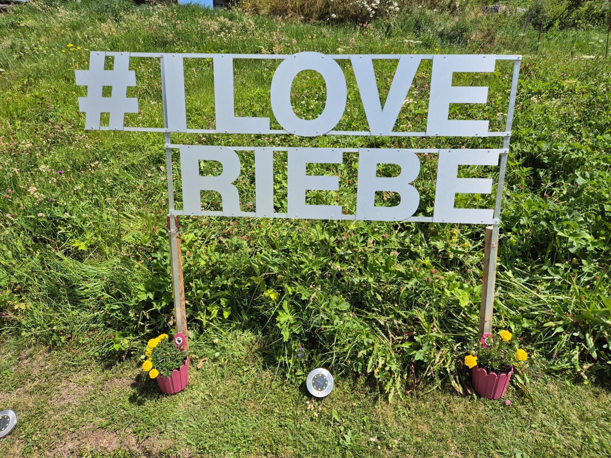 Riebe 331 Apartamento Grächen Exterior foto
