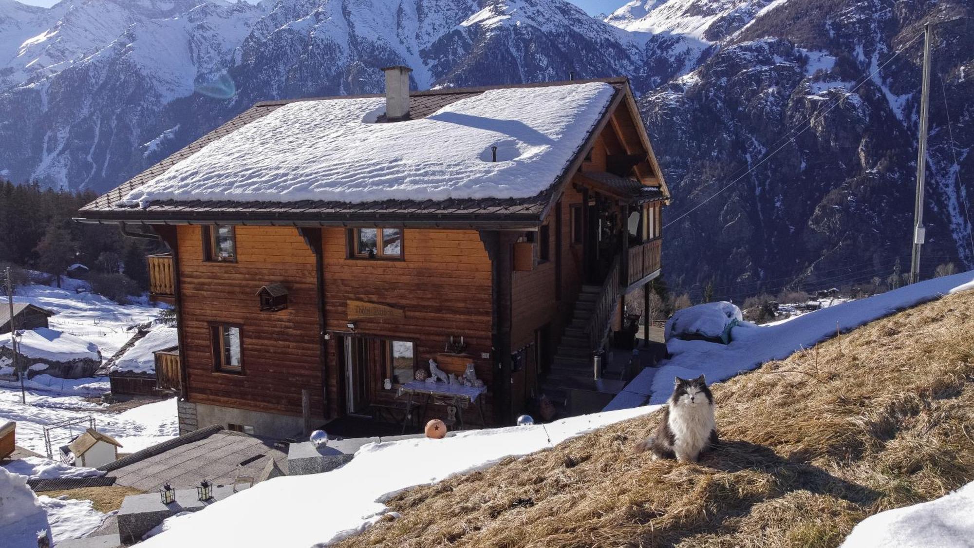 Riebe 331 Apartamento Grächen Exterior foto